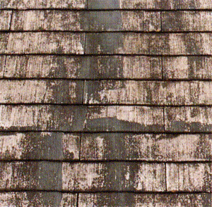 腐食したスレート